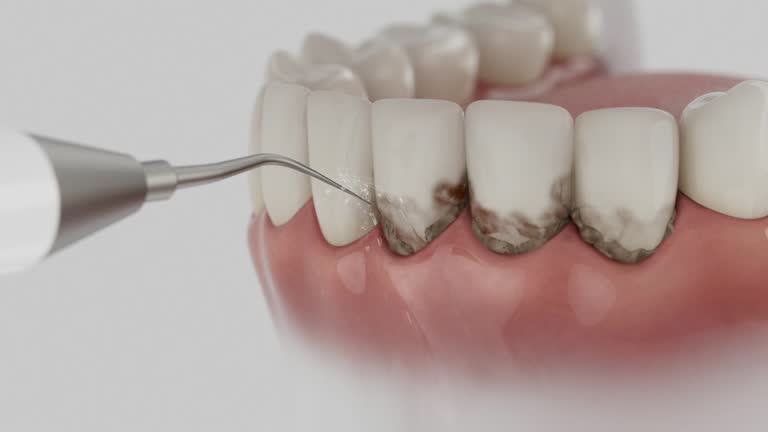 Reliable Dental contractor in Lincoln University, PA by Dentist Open Now